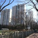 중앙공원.양지마을금호아파트 이미지