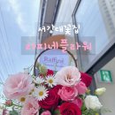 마포 프로포즈꽃다발 서강대꽃집 라피네플라워 꽃바구니 선물 후기