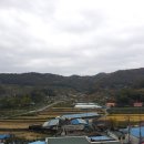 샛골농장 Daum카페