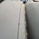 대구자동차 실내크리닝 | 대구 자동차 실내크리닝 4년 동안 강아지 태운 카니발 반려견 털 제거 특수세차