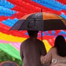 봉은사로 이미지