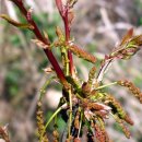 목단농장 이미지