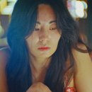 스타일펫츠 이미지