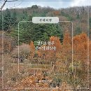 지에스(GS)25은평폭포점 | 곤지암 화담숲 예약 경기도 단풍명소 화담숲주막 후기