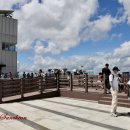 애기봉 평화생태공원 이미지