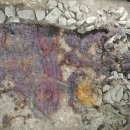 경주세탁 이미지