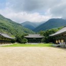 꽃길따라 이미지