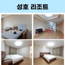 서라벌여행사