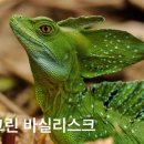 덕표내