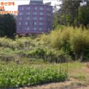 남해-221 이미지