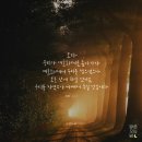 라파&닛시