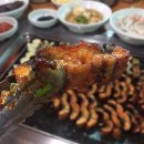 빨간장어 이미지