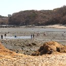 장경리해변 야영장 이미지