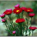 파평산농장 이미지