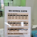 빠멍애견미용실 이미지