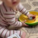 별별강아지 | 포우퀘스트 노즈워크 , 별별 노즈워크 슬로우피더 돌돌이 _ 깔끔쟁이들을 위한 강아지 노즈워크 장난감