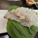 인천 미추홀구 맛집 모둠회맛집 회전퓨전포차 후기