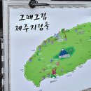 제주공항그때그집직영점
