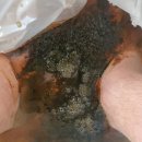 리얼프랜드 리얼클린족욕 이미지