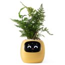 스마트플랜 | 플랜시오 아이비 스마트 펫 플랜터 사용 후기와 생생 경험 공유