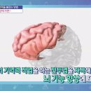 막히고 터지고 쪼그라드는 ＜뇌를 살려라!＞ 이미지