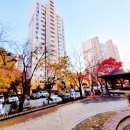 신릉근린공원 이미지
