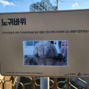 더제이다이브센터