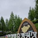 안성맞춤캠핑장매점 네이버블로그