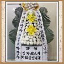 (의)갑을녹산병원 이미지