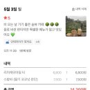 제스트비트 | 제주숲속카페 토은TOEUN 제주가족여행 예스키즈존