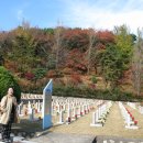 구로-구로-구로-2353 이미지