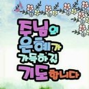 꼬망쎄 네이버블로그