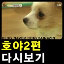 호야2농장 이미지