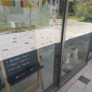 나나 애견 미용실 이미지