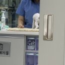 연향동물병원 이미지