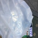 피자마루서대문 이미지