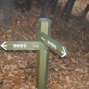 팔공산왕건길 5코스 이미지