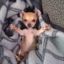 수능 탈출 콘서트 | 나눈물이나올꺼같어