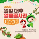 밀양대추 티스토리