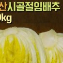 괴산시골절임배추영농조합법인 이미지