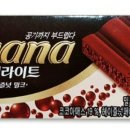 가나발전기