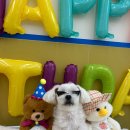 용호유치원 이미지