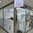 무아몽 해운대 강아지 애견미용 이미지