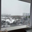 정발산역 이미지