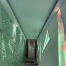 럭셔리코인노래연습장 이미지