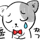 제주나이트
