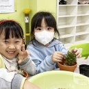 동부초등학교병설유치원 이미지