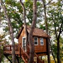 트리하우스 이미지