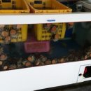 바당올레 이미지