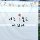 아꼬아체험농장